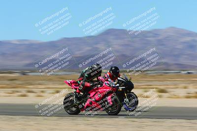 media/Mar-12-2022-SoCal Trackdays (Sat) [[152081554b]]/Back Straight Speed Shots (1045am)/